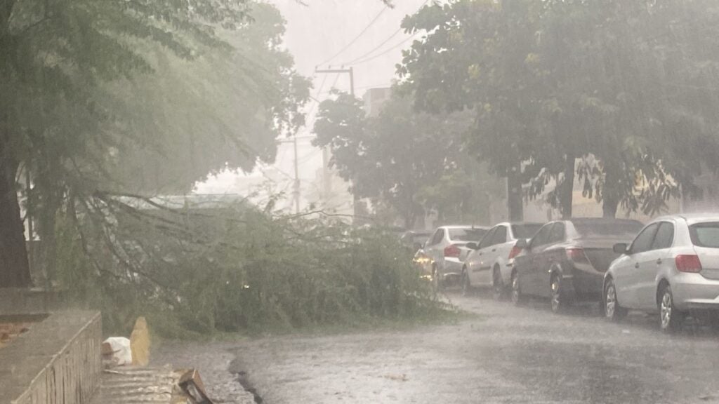 Chuva de granizo surpreende moradores de Serra Talhada, no Sertão; Apac explica o fenômeno