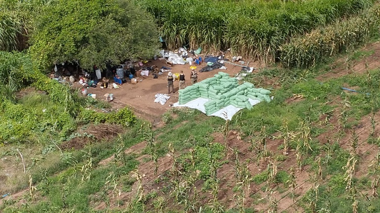 Polícia Federal apreende cerca de duas toneladas de maconha em Delmiro Gouveia em ação da Operação Carcará