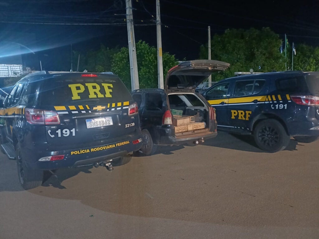 PRF resgata 250 pássaros silvestres na BR 316