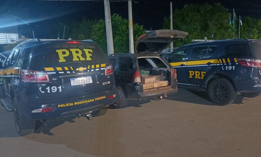 PRF resgata 250 pássaros silvestres na BR 316