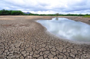 Sertão de Pernambuco deve ter umidade do ar abaixo de 30% até domingo (9), alerta Apac Sertão de Pernambuco deve ter umidade do ar abaixo de 30% até domingo (9), alerta Apac