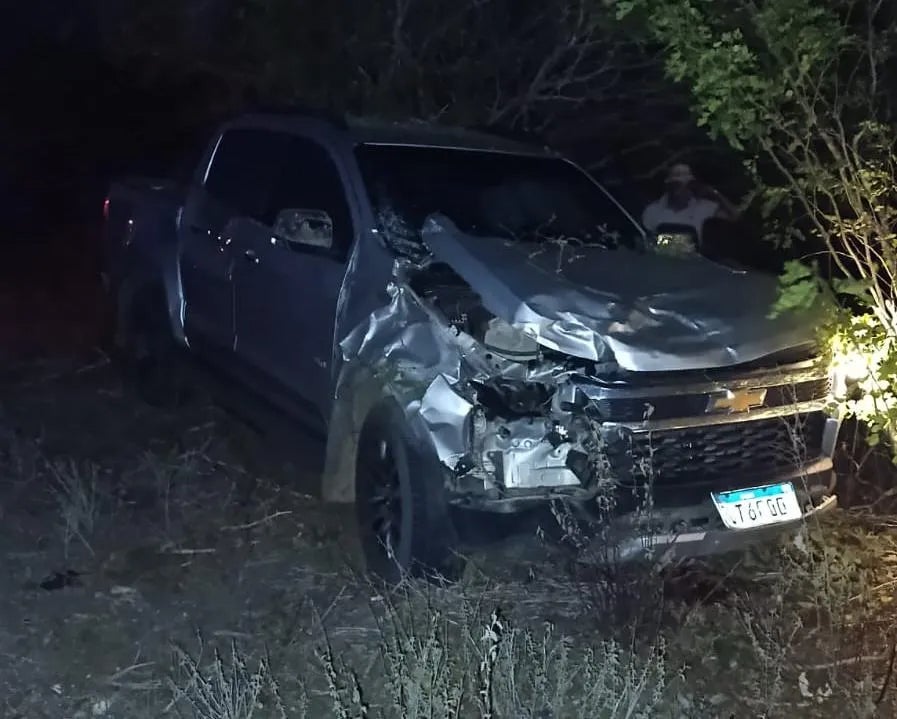 Carro colide com vaca na PE-360, entre Floresta e Ibimirim