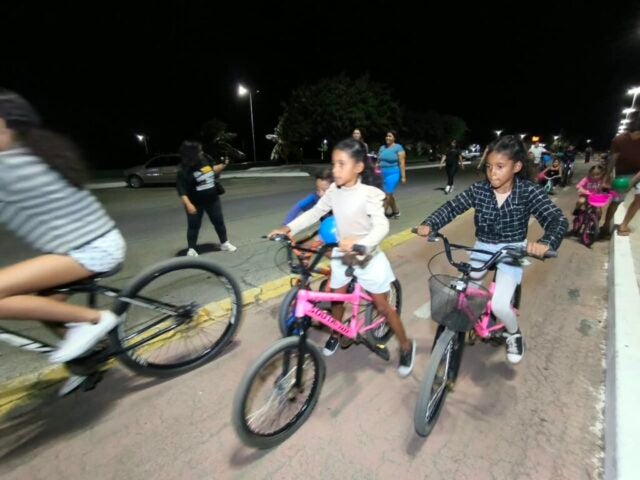 WhatsApp Image 2026-08-20 at 19.05.09
