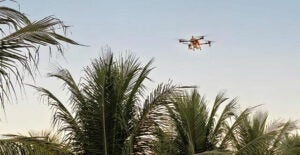 Uso de drone agrícola será tema do Dia de Campo do 3⁰ Simpósio de Oportunidades de Negócios na Cultura de Coco em Petrolândia