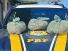 PRF apreende 10 kg de supermaconha em Sertânia