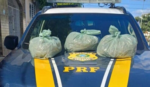 PRF apreende 10 kg de supermaconha em Sertânia