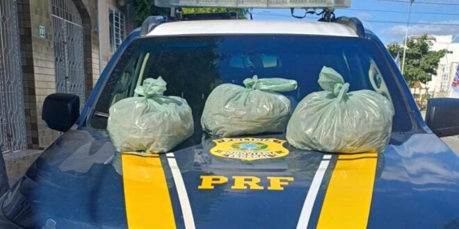 PRF apreende 10 kg de supermaconha em Sertânia