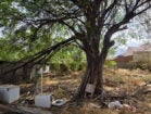 E o projeto de restauração do antigo Batalhão de Floresta? No Sertão