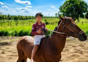Tragédia: menino de 11 anos morre após ser atropelado por caminhão na zona rural de Petrolândia Tragédia: menino de 11 anos morre após ser atropelado por caminhão na zona rural de Petrolândia