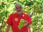 Humberto Costa reforça defesa da fruticultura irrigada do Sertão do São Francisco