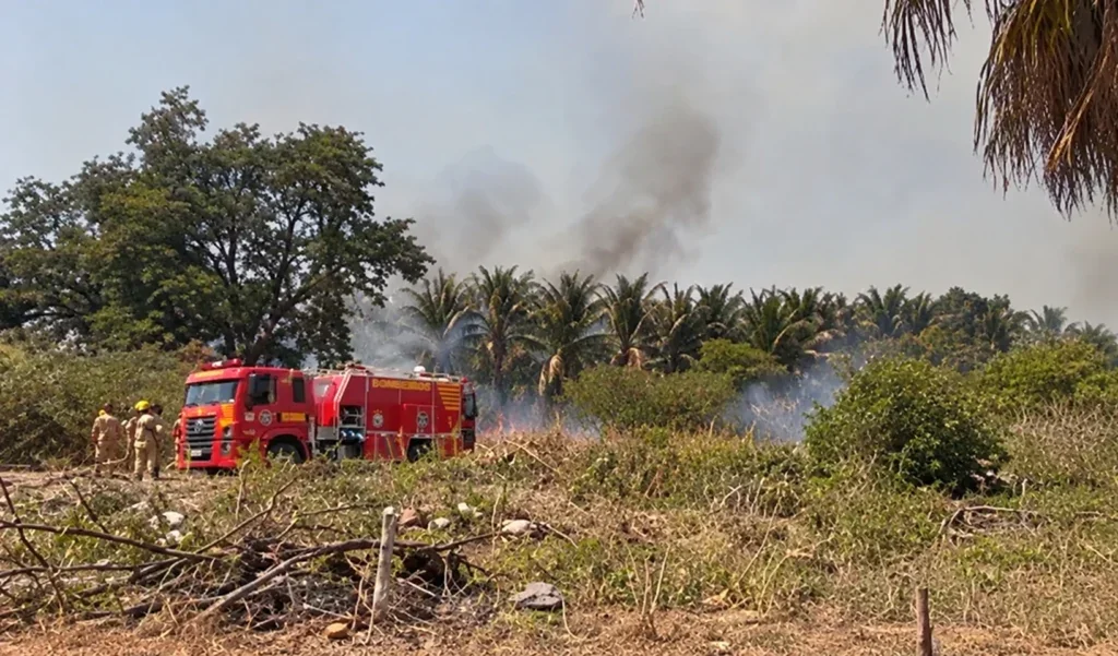 Incêndio de grandes proporções mobiliza bombeiros no Sítio Serrota, em Petrolândia