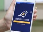 Pernambuco soma 3.505 denúncias de propaganda irregular; país passa de 51 mil