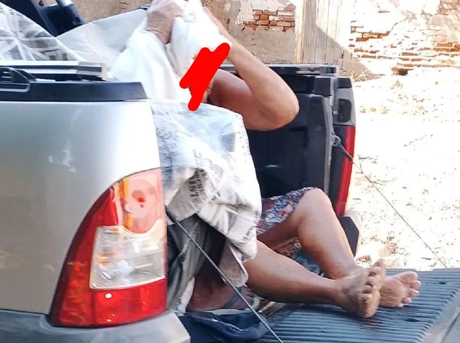 Imagem que acompanha a notícia do ataque de abelhas próximo ao Cemitério São Miguel em Floresta, Pernambuco