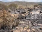 Imagem da reportagem sobre corpo encontrado às margens da BR-232 em Bezerros