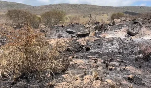 Corpo carbonizado é encontrado às margens da BR-232, em Bezerros; polícia apura possível identificação