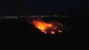 Incêndio em Floresta com fumaça intensa