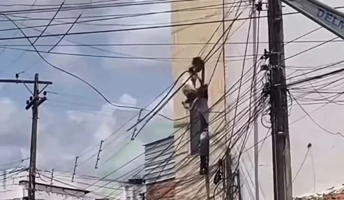 Policial militar salva criança após queda do segundo andar e contato com fios de alta tensão em Delmiro Gouveia