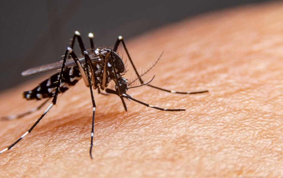 Pernambuco confirma 7ª morte por dengue em 2026; Petrolândia soma 1.247 casos prováveis
