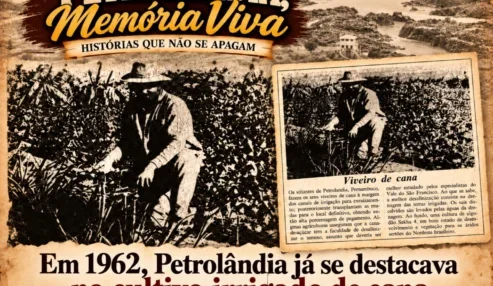 Petrolândia, Memória Viva: em 1962, O Estado de S. Paulo destacava cultivo de cana e técnicas de irrigação dos agricultores de Petrolândia